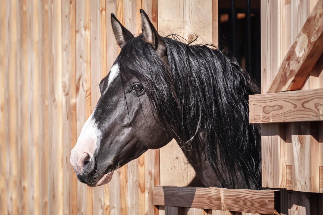 Ranchhouse Smoker- Westernstable - Horse Elterlein Eksteriør billede